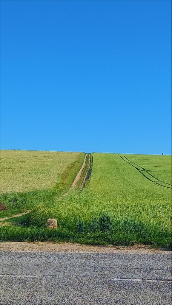 chemins dans les champs
