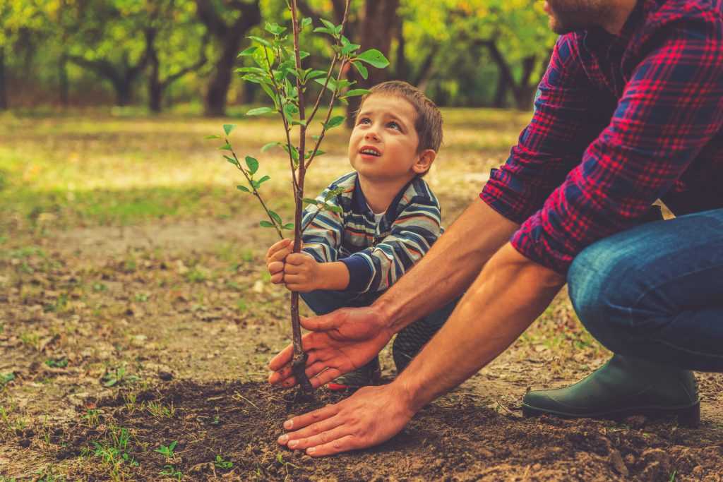 Génération plantant un arbre