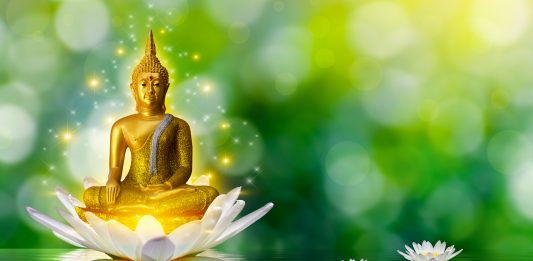 Buddha sur fleur de Lotus fond vert