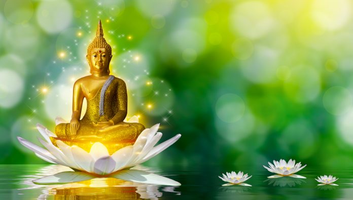 Buddha sur fleur de Lotus fond vert