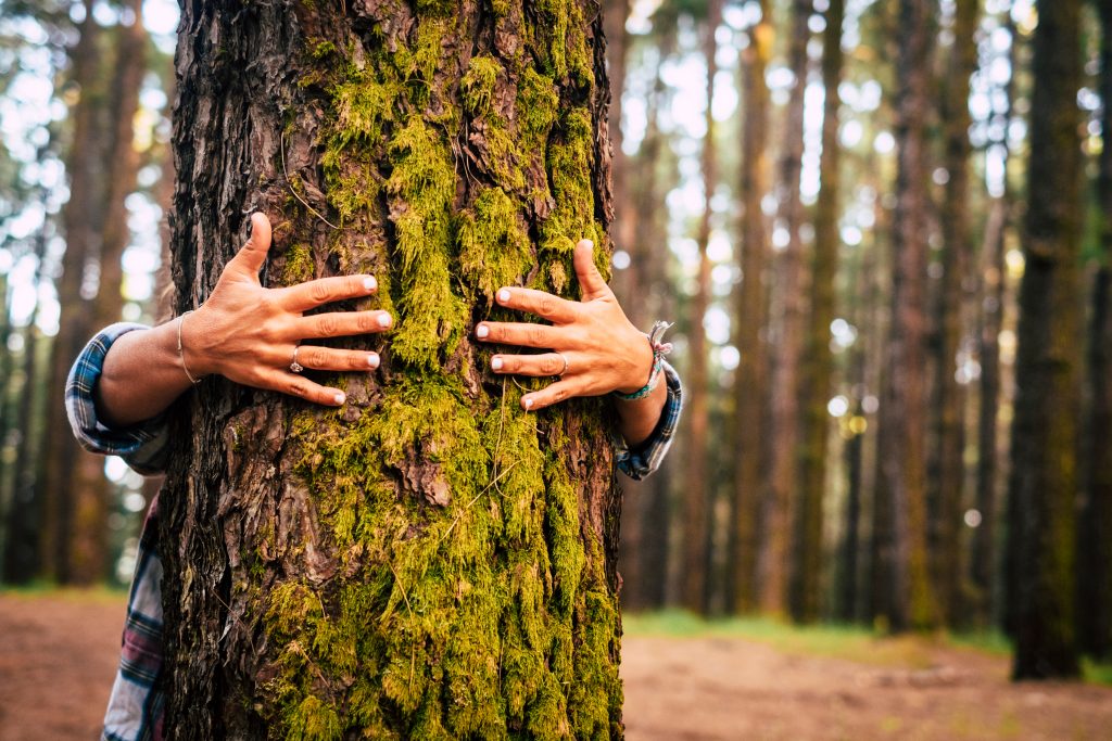 Personnes entourant un arbre avec ses bras