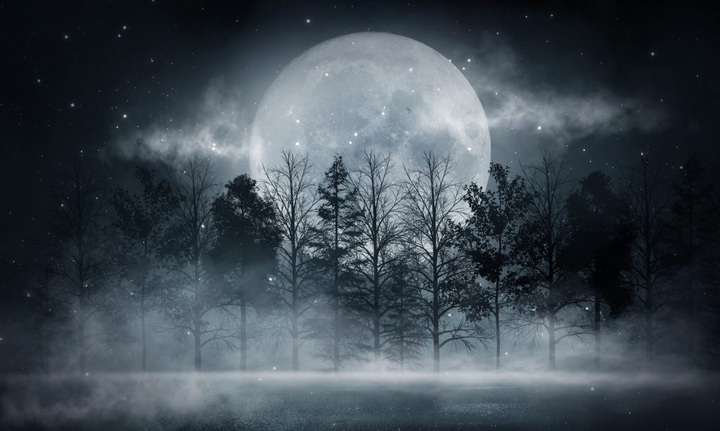 Pleine lune en forêt avec des arbres