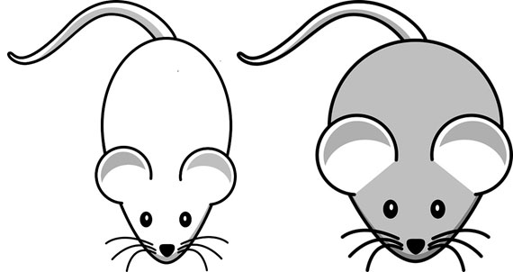 Les 2 souris