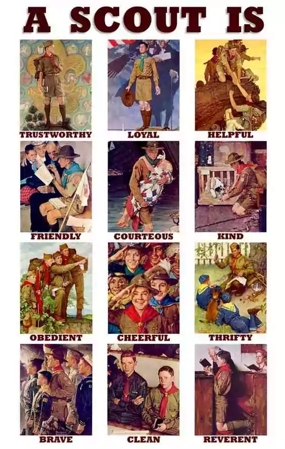 A scout is