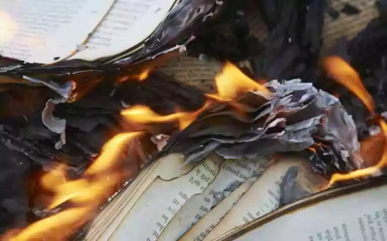 Livres qui brûlent