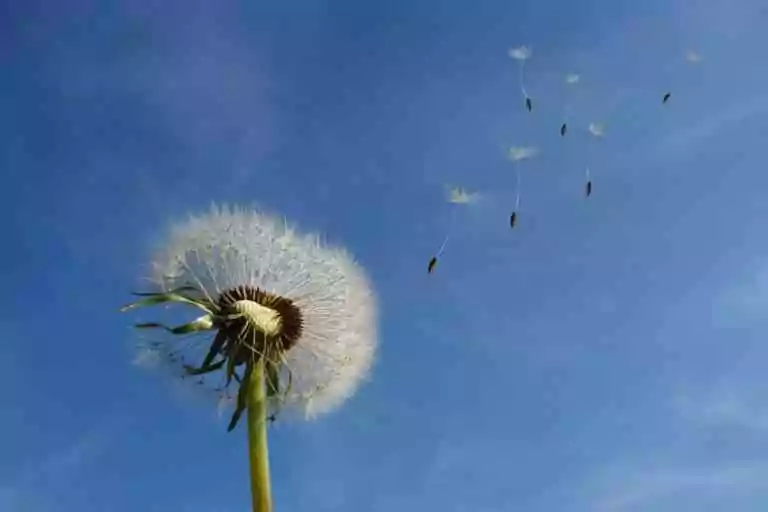 Le parcours initiatique d&rsquo;un Apprenti&nbsp;: L&rsquo;Air