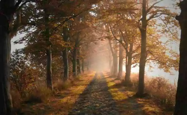 Ouvriers d&rsquo;Hiram Abiff. Vie et Chemin
