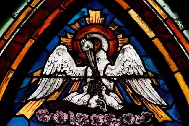 Le Pélican, animal spirituel et symbolique en Franc-maçonnerie&nbsp;?