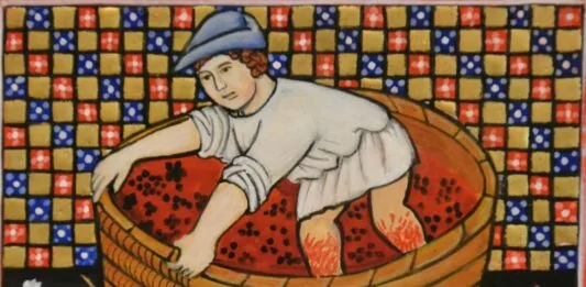 Foulage du raisin
