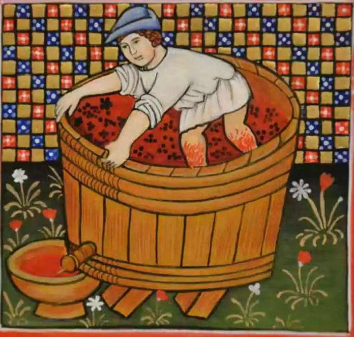 Foulage du raisin