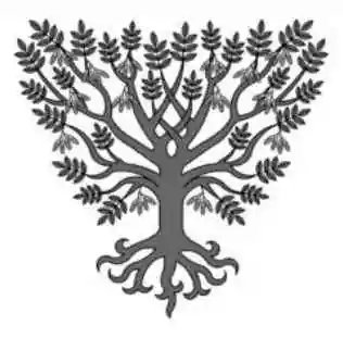 «&nbsp;L’Arbre&nbsp;» de Corinne Grenier – De la racine au ciel, une leçon de verticalité