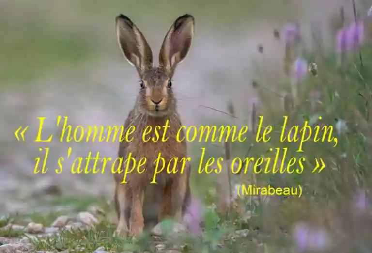 Au commencement était le verbe