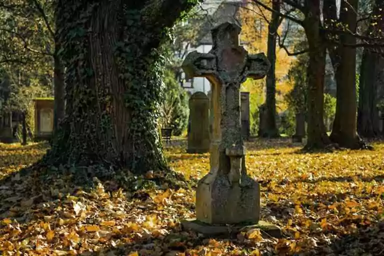 Convention sur la fin de vie&nbsp;: la pression des francs-maçons pour faire légaliser l’euthanasie