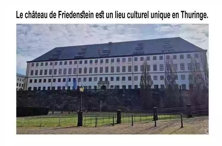 Fondation Château Friedenstein à Gotha&nbsp;: Conseil des jeunes, francs-maçons et problèmes internes