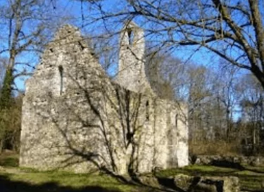 Lieu symbolique : Chapelle des Templiers de Fourches, trésor caché de la forêt de Fontainebleau