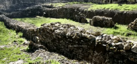 Lieu symbolique : Chapelle des Templiers de Fourches, trésor caché de la forêt de Fontainebleau