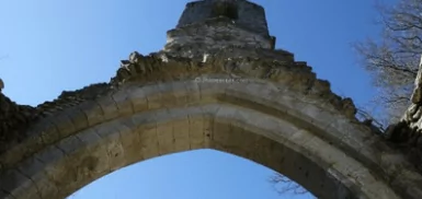 Lieu symbolique : Chapelle des Templiers de Fourches, trésor caché de la forêt de Fontainebleau