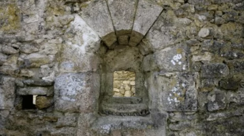 Lieu symbolique : Chapelle des Templiers de Fourches, trésor caché de la forêt de Fontainebleau