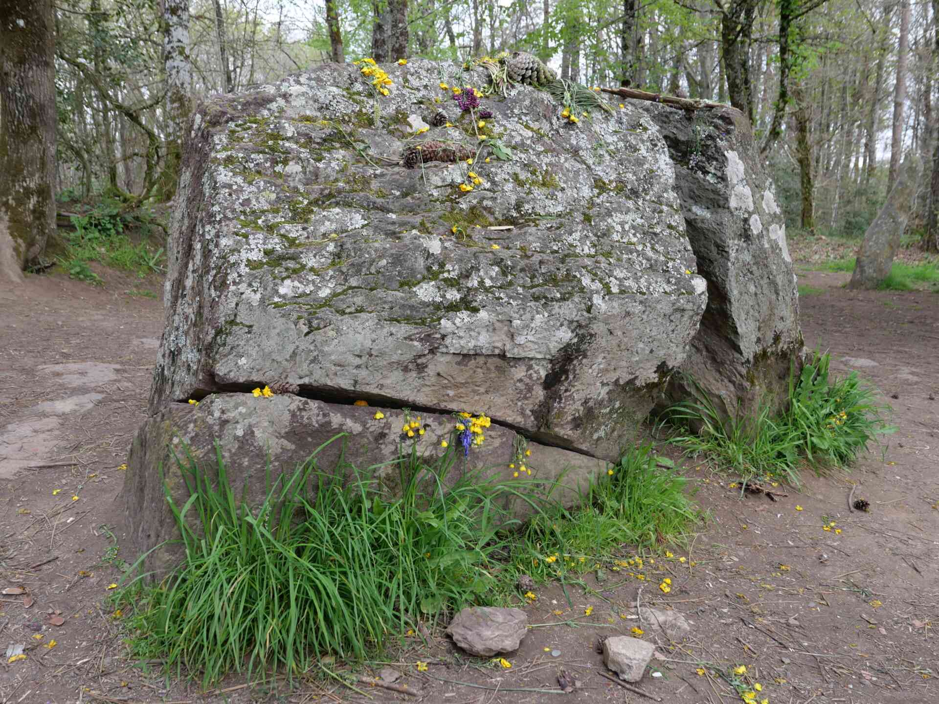 the enchanter Merlin in the forest of Brocéliande - AI Generated