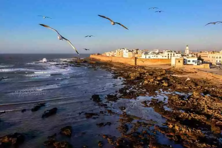 Médina fortifiée d'Essaouira au bord de l'Atlantique.