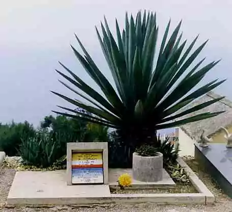 Tombe de Le Corbusier à Roquebrune.
