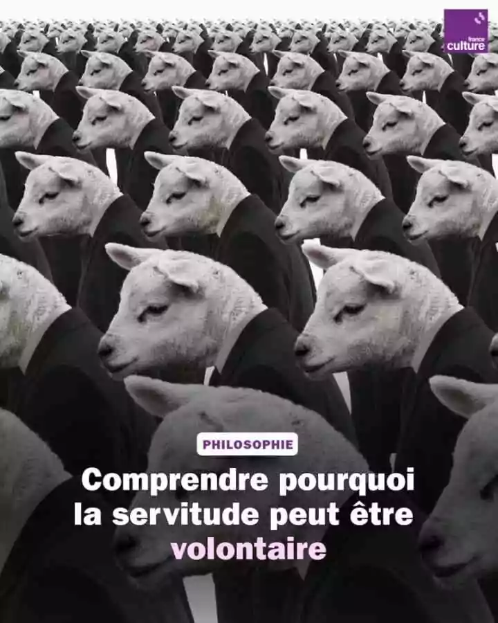 Choisir ses chaînes&nbsp;: La Boétie et l'énigme de la servitude volontaire