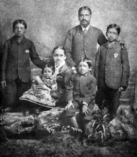 Aurobindo