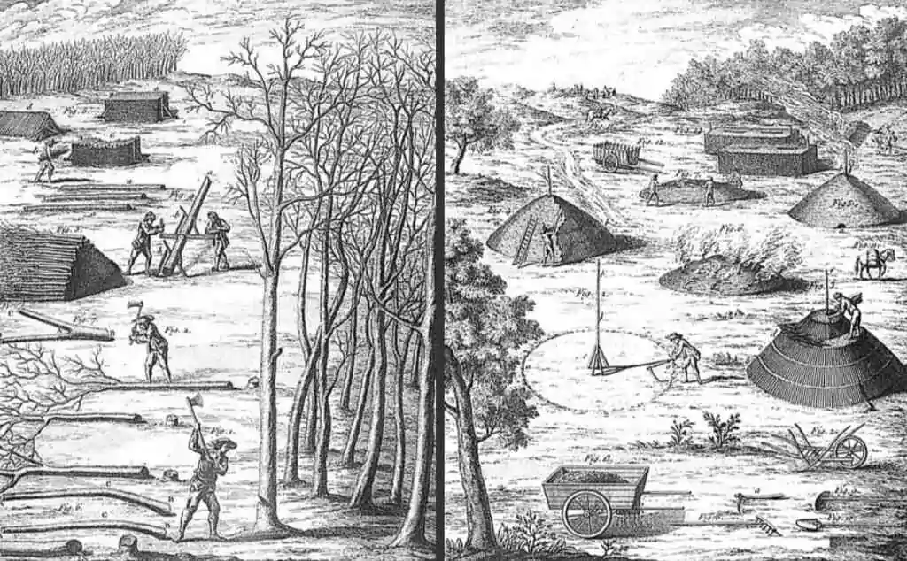 Avec les Bons Cousins Charbonniers (B.˙.C.˙.C.˙.), promenons-nous dans les bois !