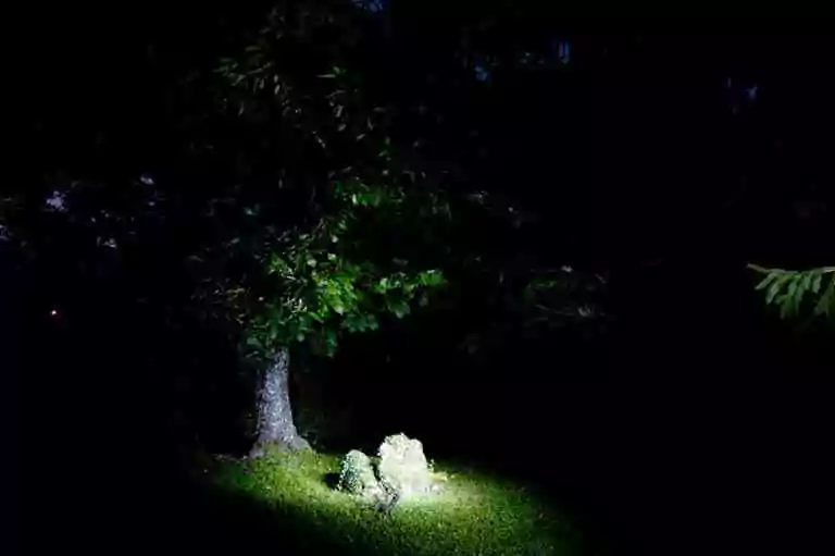 La Lumière au cœur de la Rencontre