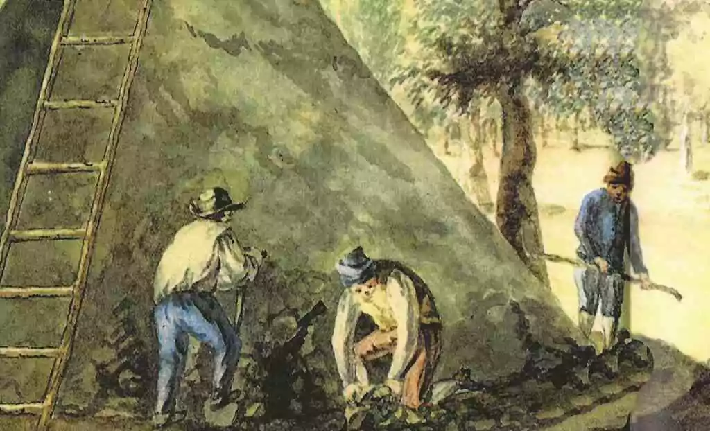 1re de couv., détail.