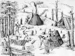 Avec les Bons Cousins Charbonniers (B.˙.C.˙.C.˙.), promenons-nous dans les bois !