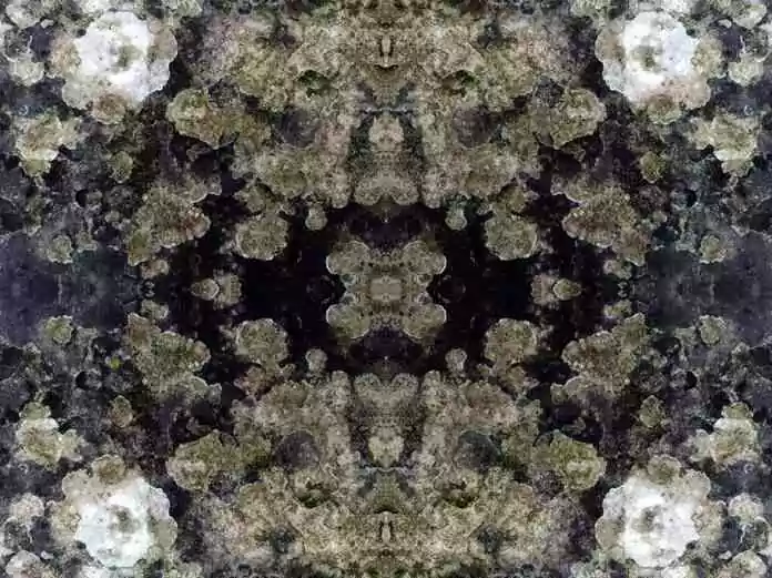 Le 