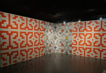 Visions chamaniques - Arts de l'Ayahuasca en Amazonie péruvienne