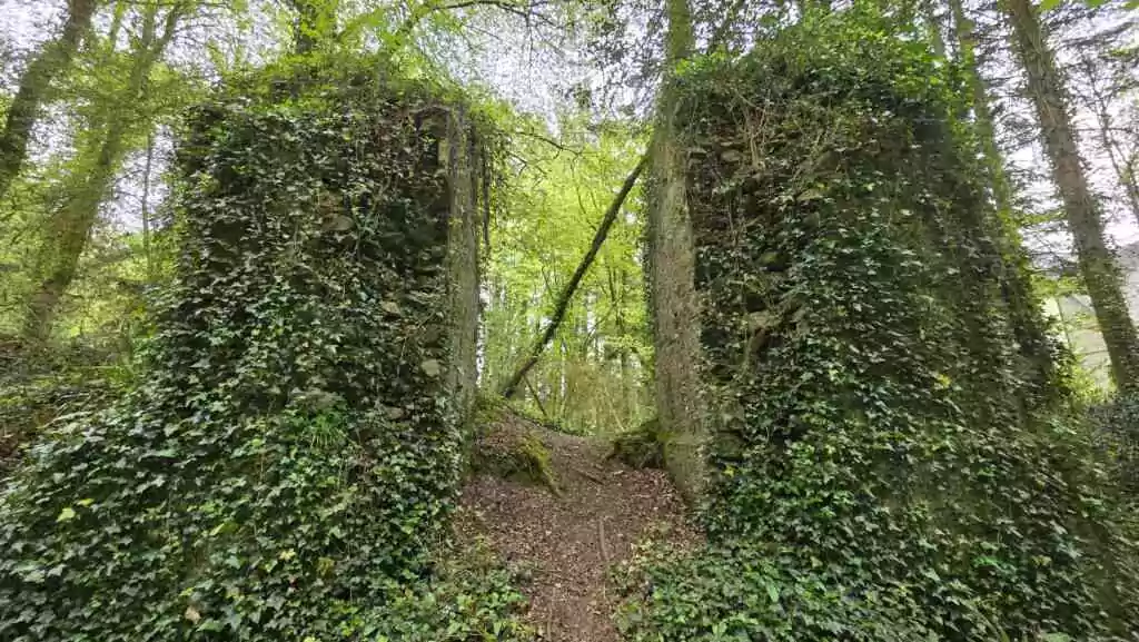 Lieu symbolique : Mystères et merveilles de Carnoët, entre forêt enchantée et légende de Barbe-Bleue