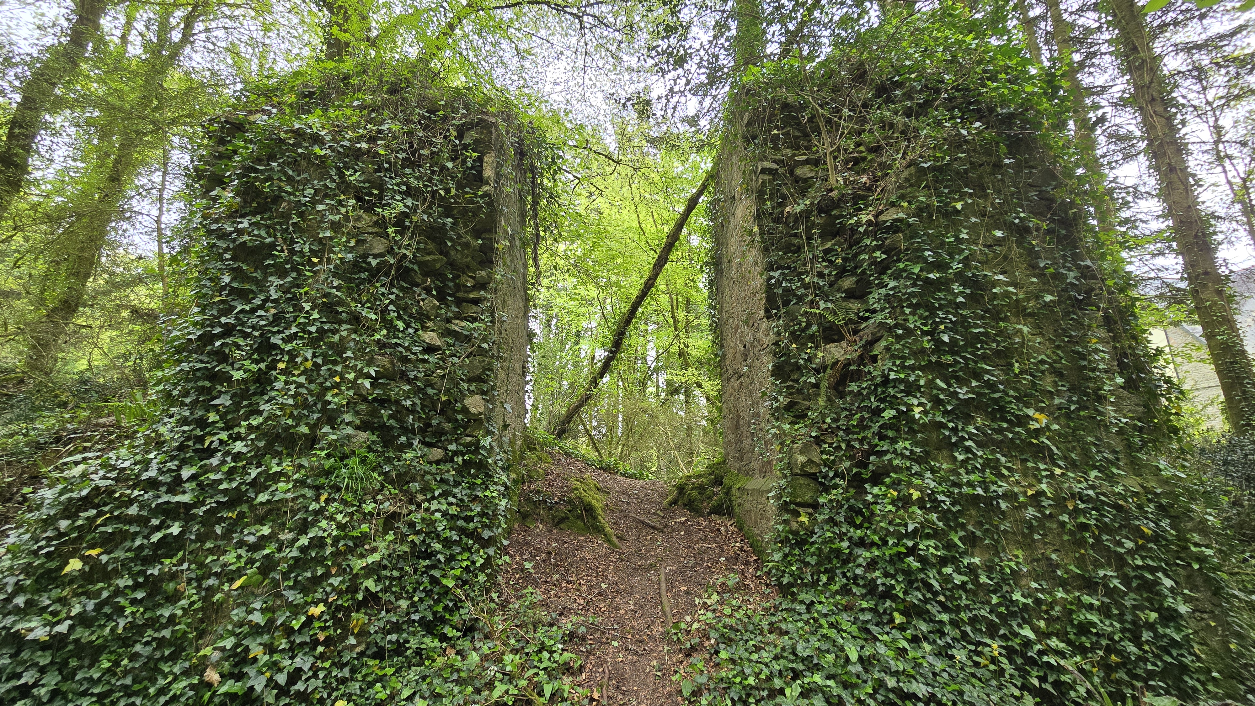Forêt de Carnoët – Glossaire de la franc-maçonnerie 450.fm
