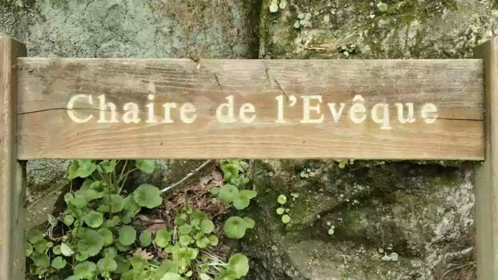 Lieu symbolique : Mystères et merveilles de Carnoët, entre forêt enchantée et légende de Barbe-Bleue