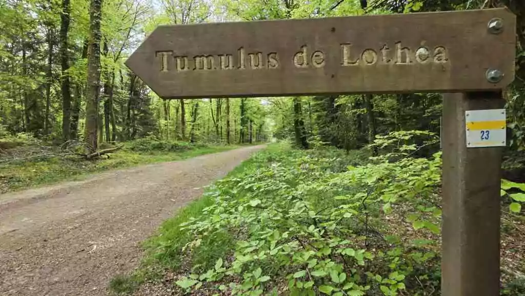 Lieu symbolique : Mystères et merveilles de Carnoët, entre forêt enchantée et légende de Barbe-Bleue