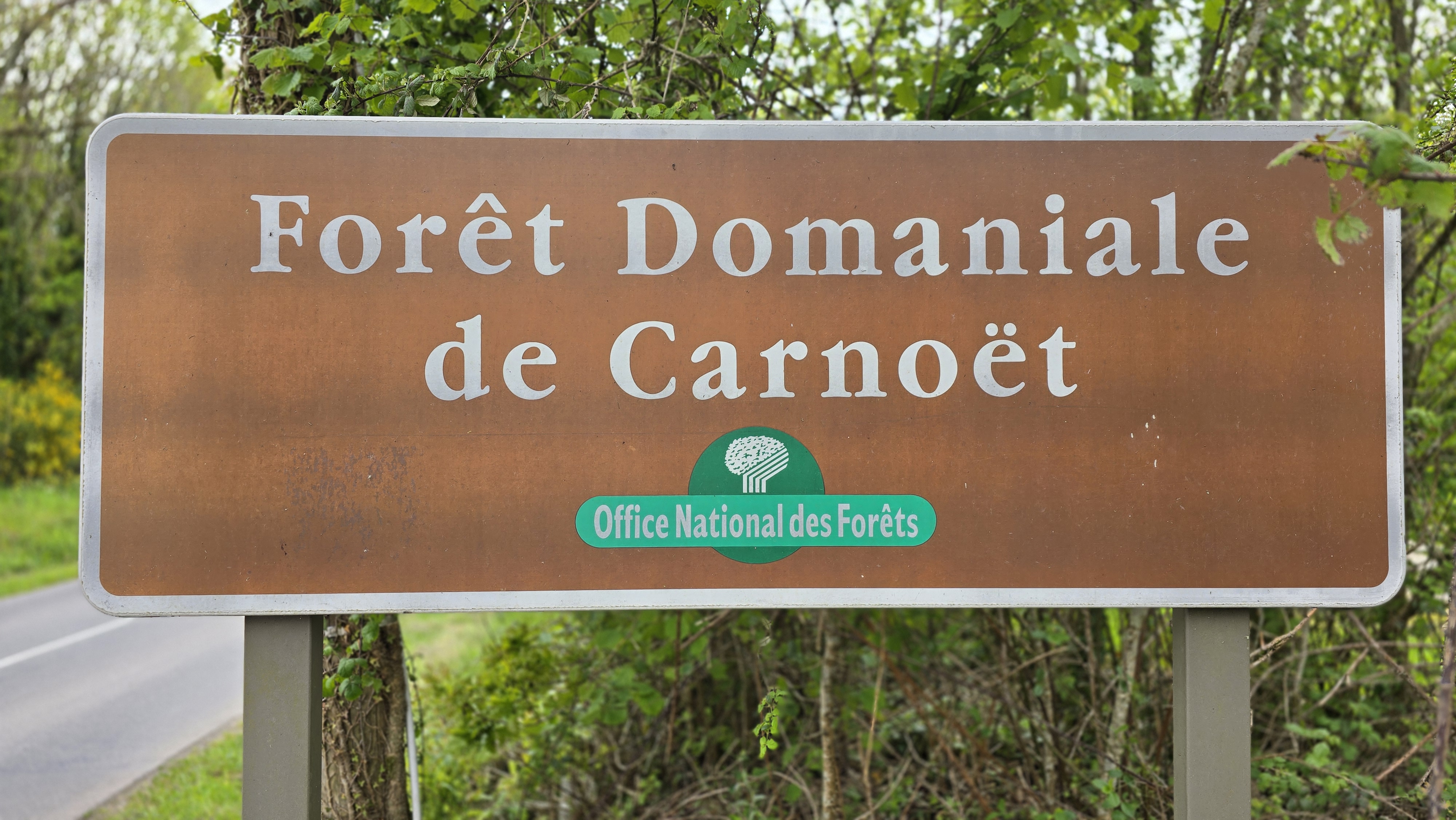 Forêt de Carnoët – Glossaire de la franc-maçonnerie 450.fm