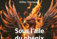 Sous l'aile du phénix, détail