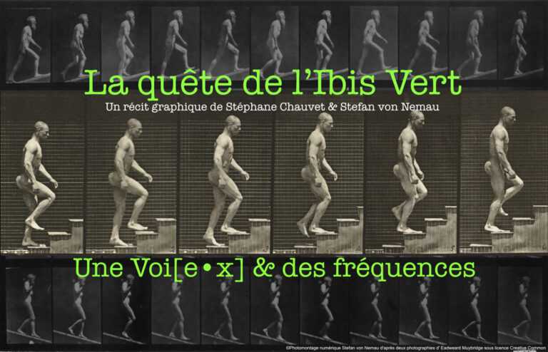 La quête de l’Ibis vert : Le Chemin et ses fréquences