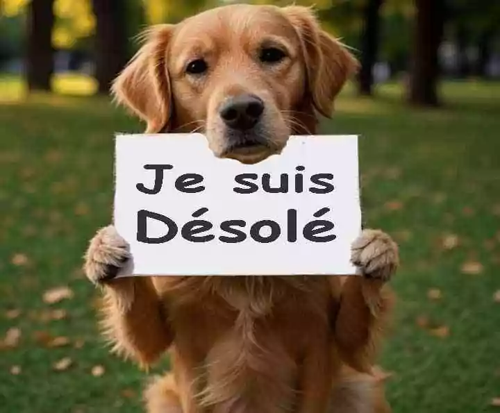 Le discernement éthique face au réel&nbsp;: entre pardon, acceptation et renoncement 