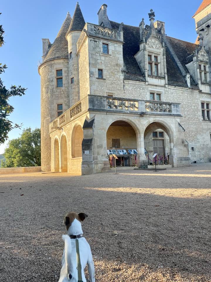 Doggy aux Milandes, juin 2025