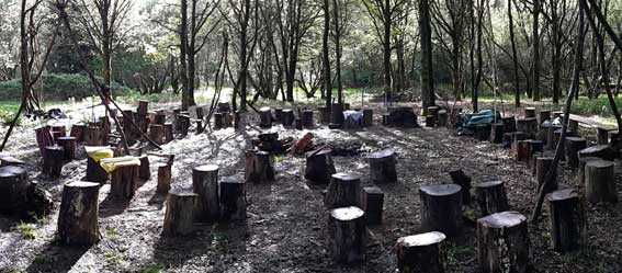 Cercle_forestier - Source 450.fm