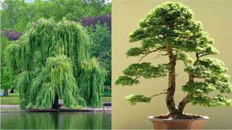 Les racines de la spiritualité maçonnique
