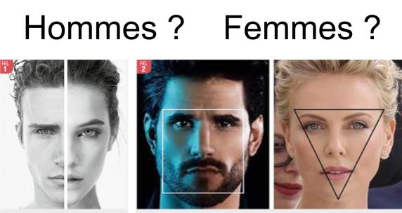 Faut-il falsifier le réel pour trouver sa vérité ?