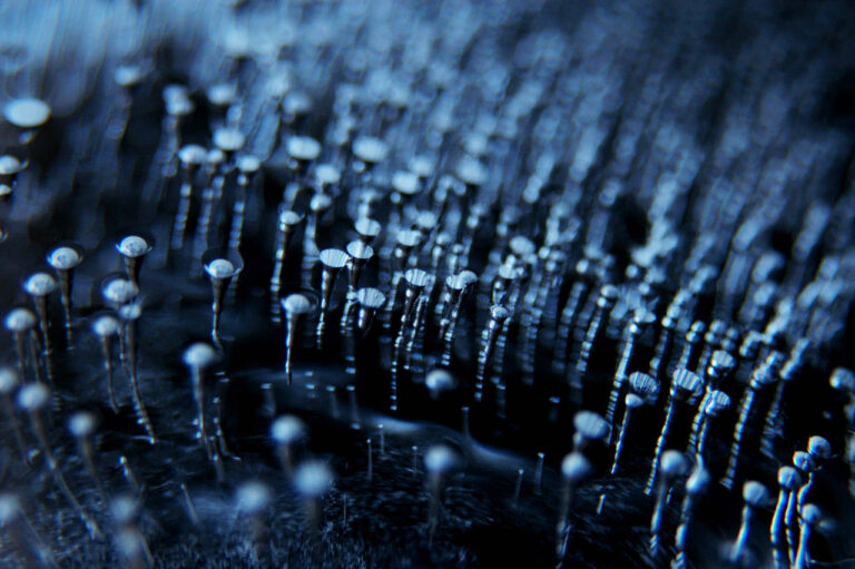 Les larmes de nos cordons - Dimensions variables - Edition limité - Photographie - 2011 - © Stefan von Nemau