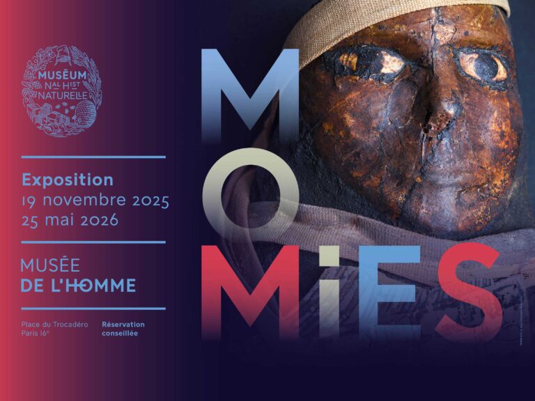 « Momies » au Musée de l’Homme : corps d’éternité, mémoires révélées