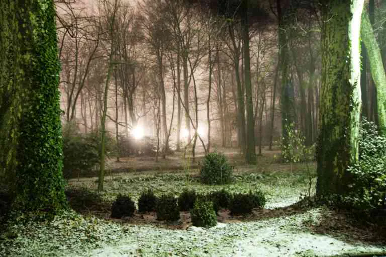 Lumière et solstice d’hiver en Franc-maçonnerie