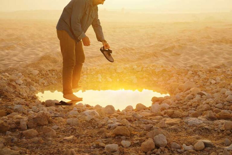 Humilité&nbsp;: de la terre à la vérité