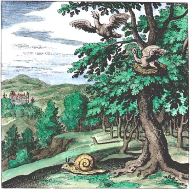 Deuxième planche de Lambsprinck